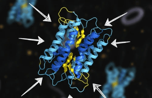 how does It works-glucotrust bites™